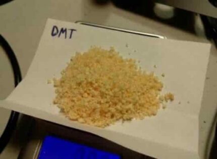 Best Price of Dimethyltryptamine in Our Shop